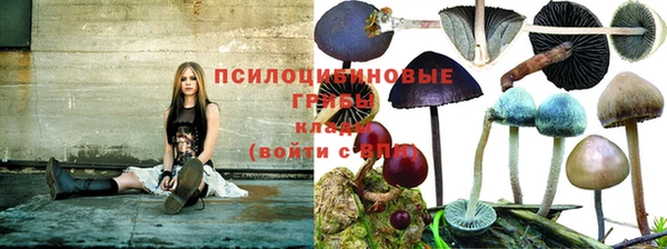 спайс Алексин