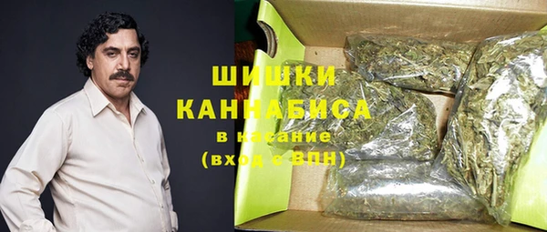 спайс Алексин