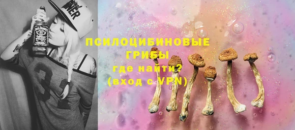 спайс Алексин