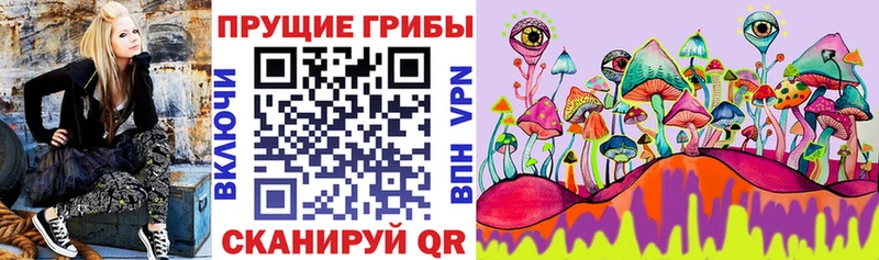 где купить наркоту  Верхоянск  МЕГА   Псилоцибиновые грибы ЛСД 